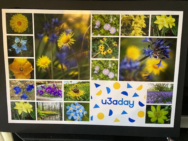 Come and see us at Guildford's Farmers Market on 01 Jun or at Stoke Park on 02 Jun at 11.00 to paint pebbles (London Road) #u3a  #AgeUKSurrey #u3aday