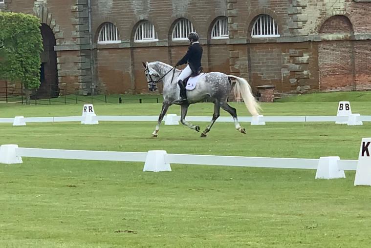 Sam Griffiths (@griffiths_sam) on Twitter photo At <a href="/SaracenFeeds/">Saracen Horse Feeds</a> Houghton International Cu Chulain and Monbeg Whisper both do great tests. At <a href="/SaracenFeeds/">Saracen Horse Feeds</a> Houghton International Cu Chulain and Monbeg Whisper both do great tests.