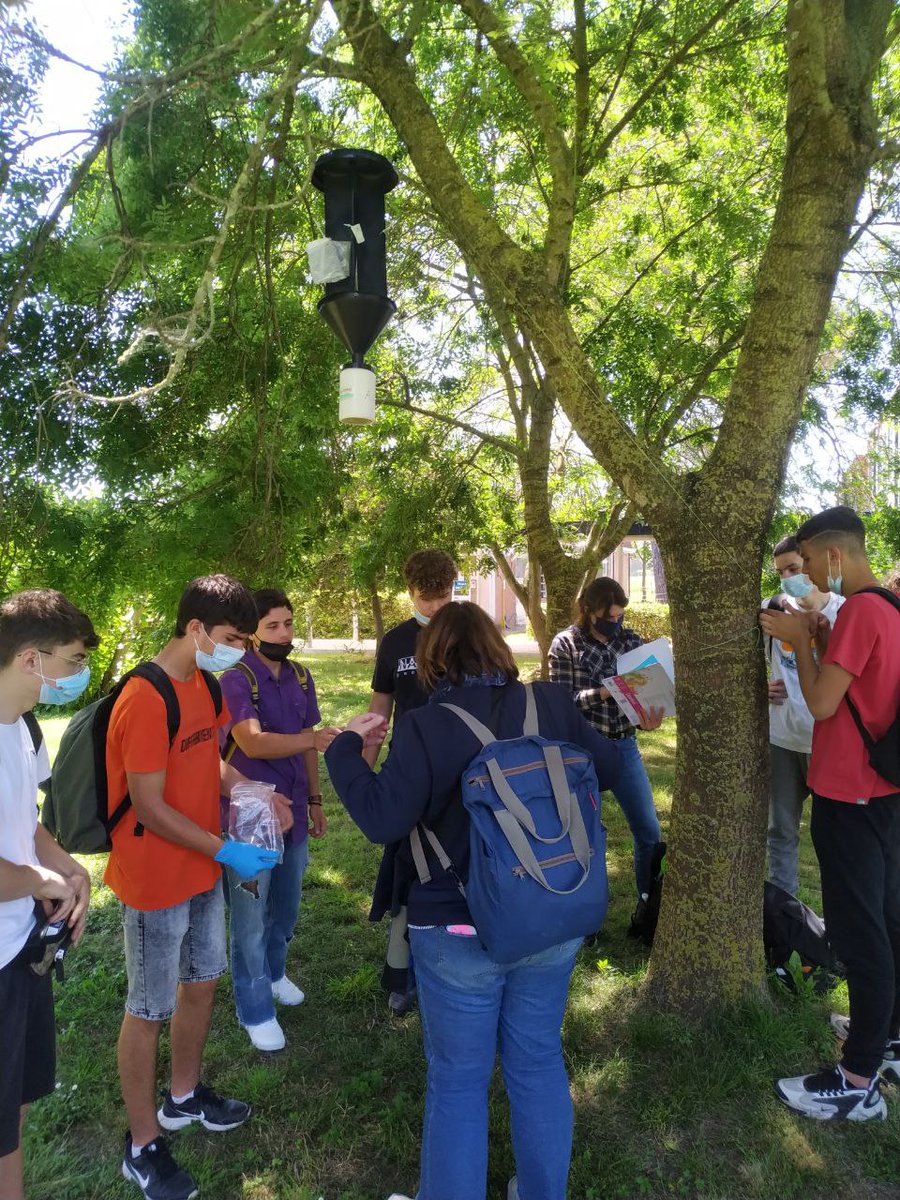 LifeSamfix's tweet image. Today the students of the Agricultural Institute &quot;San Benedetto&quot; of Latina have sampled the traps against #Xylosandrus together with @Parco_Circeo staff. 

@LIFEprogramme #samfix #circeo #latina #parcodelcirceo #27maggio #citizenscience