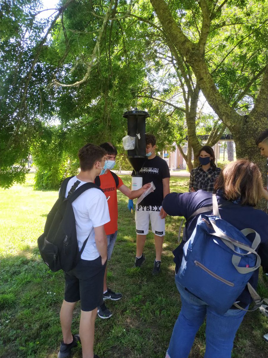 LifeSamfix's tweet image. Today the students of the Agricultural Institute &quot;San Benedetto&quot; of Latina have sampled the traps against #Xylosandrus together with @Parco_Circeo staff. 

@LIFEprogramme #samfix #circeo #latina #parcodelcirceo #27maggio #citizenscience