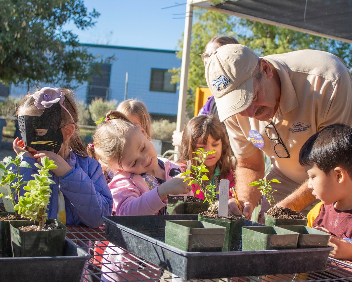 livingdesert's tweet photo. Spots are filling up quickly for the in-person Summer ZooCamp!
ZooCamps run select weeks June 21-August 6 from 8:00 am โ 12:00pm. For more information visit https://t.co/zNr5d6qW8F
#ZooCamp #WildFun #WonderfullyWild #TheLivingDesert https://t.co/NoCr7Ceomf