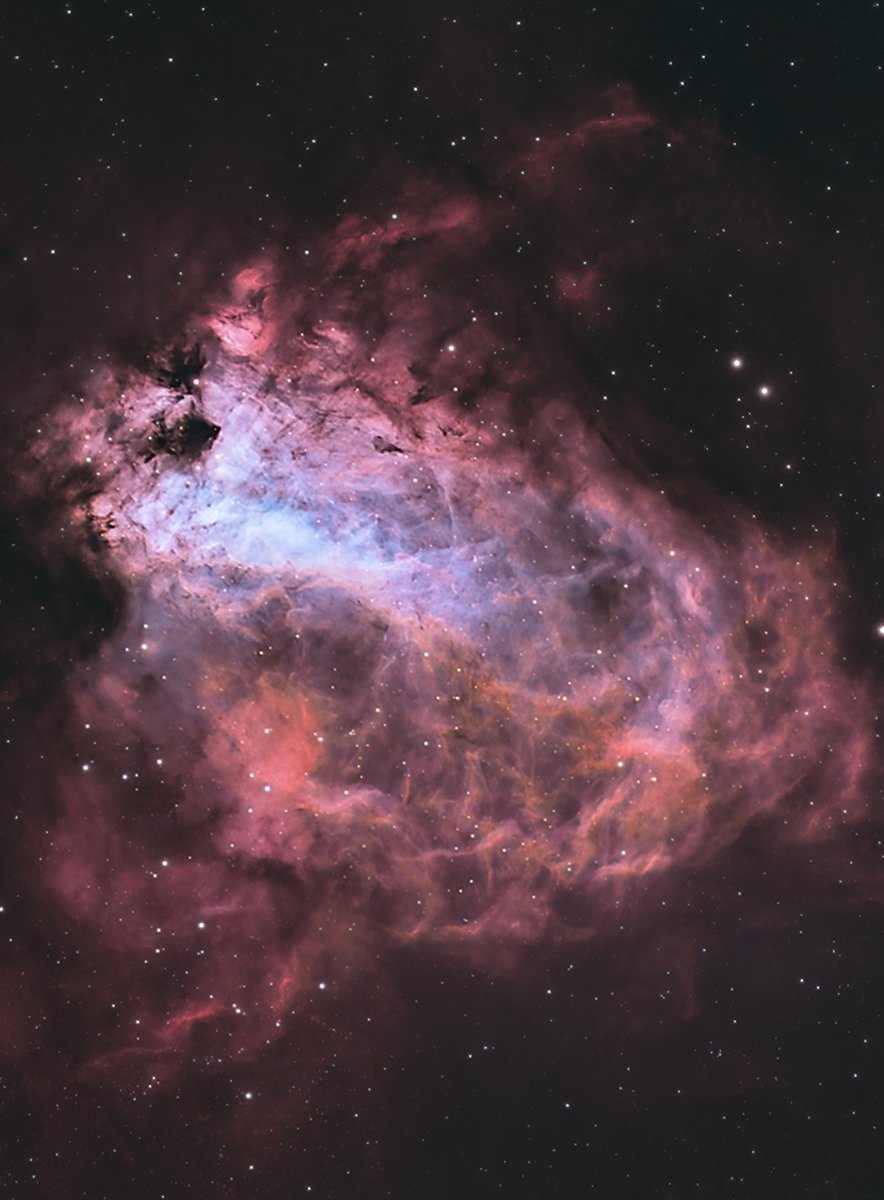 🔭AstroBackyard tweet media