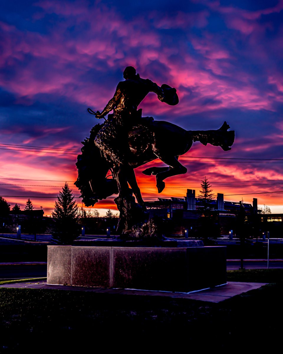 Wyoming Athletics tweet media