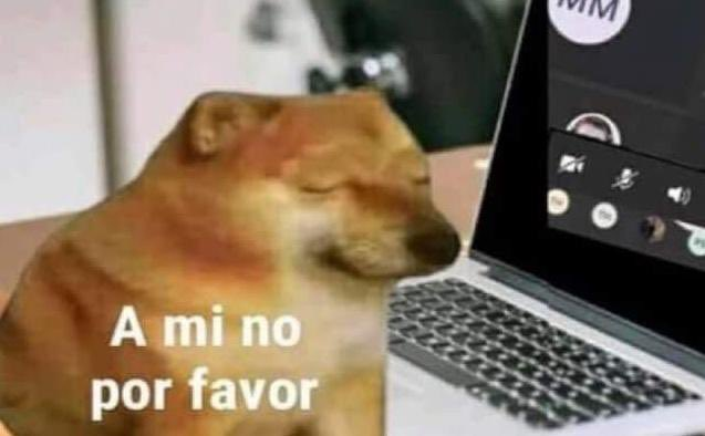 *El profesor comienza a hacer preguntas*

Yo:
