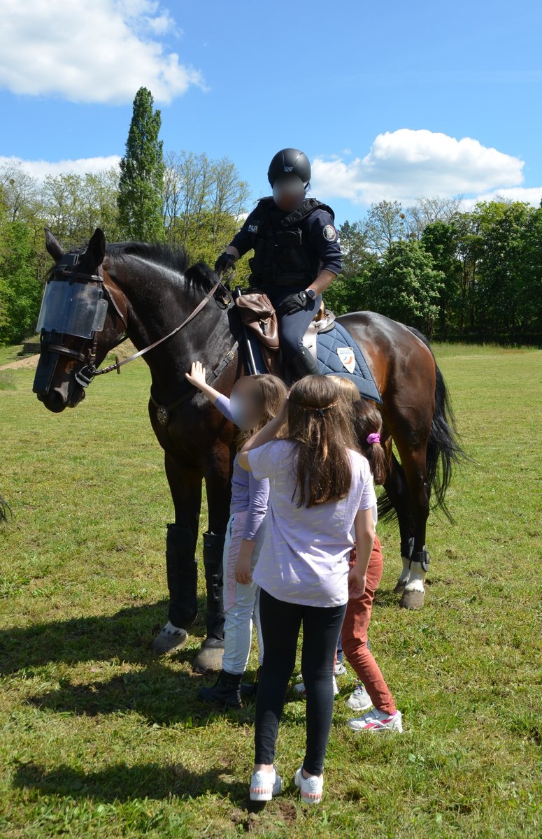 PoliceNat77's tweet photo. #JournéeDécouverte
Aujourd'hui à #BoisLeRoi, les élèves d'une classe de l'école primaire Les Tilleuls de #Chartrettes ont pu assister à un entraînement de la brigade équestre de @PoliceNat77
Ils sont repartis🤩et en garderons un merveilleux souvenir. https://t.co/eKzjP8Oryn