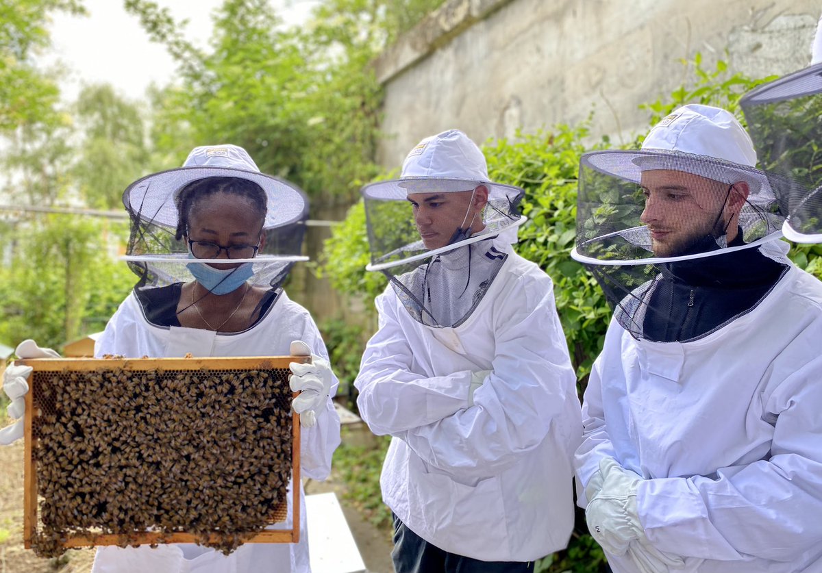 Visite des #ruches de la Villette pour la promotion Mohamed Megrez (C3PS) 🐝