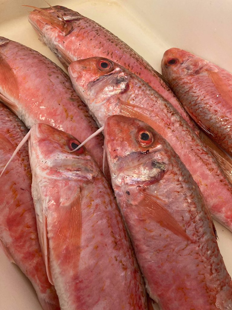 Look what came in today from @Brixhamfishmkt #redmullet Not seen these for a long time. @Fishisthedish @Seafood_Coast @sentfromdevon
