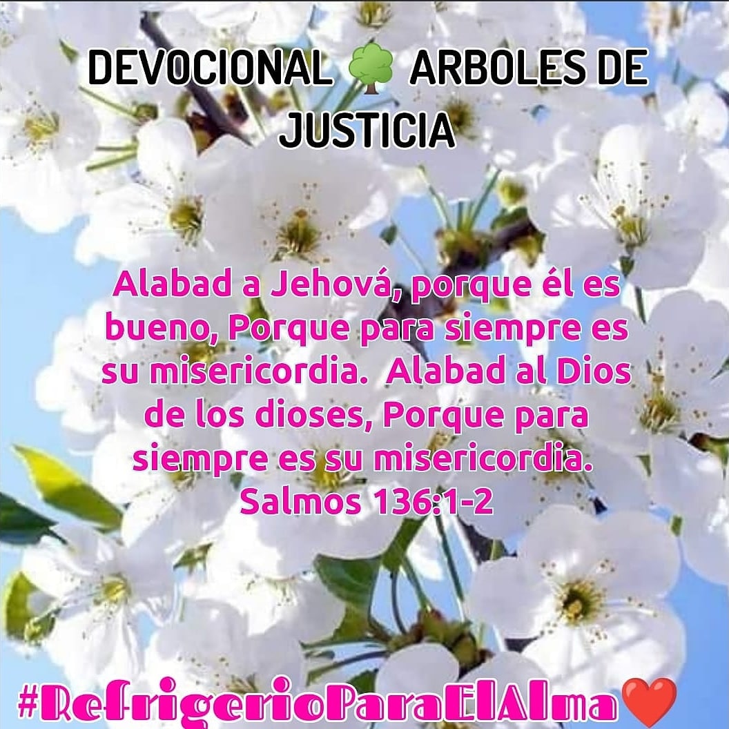 RefrigerioEl's tweet photo. @GeneracionBendita💪🙏🌄✨🇨🇴🌈🌺🦁🌳❤️ https://t.co/2XZZAjlVgn