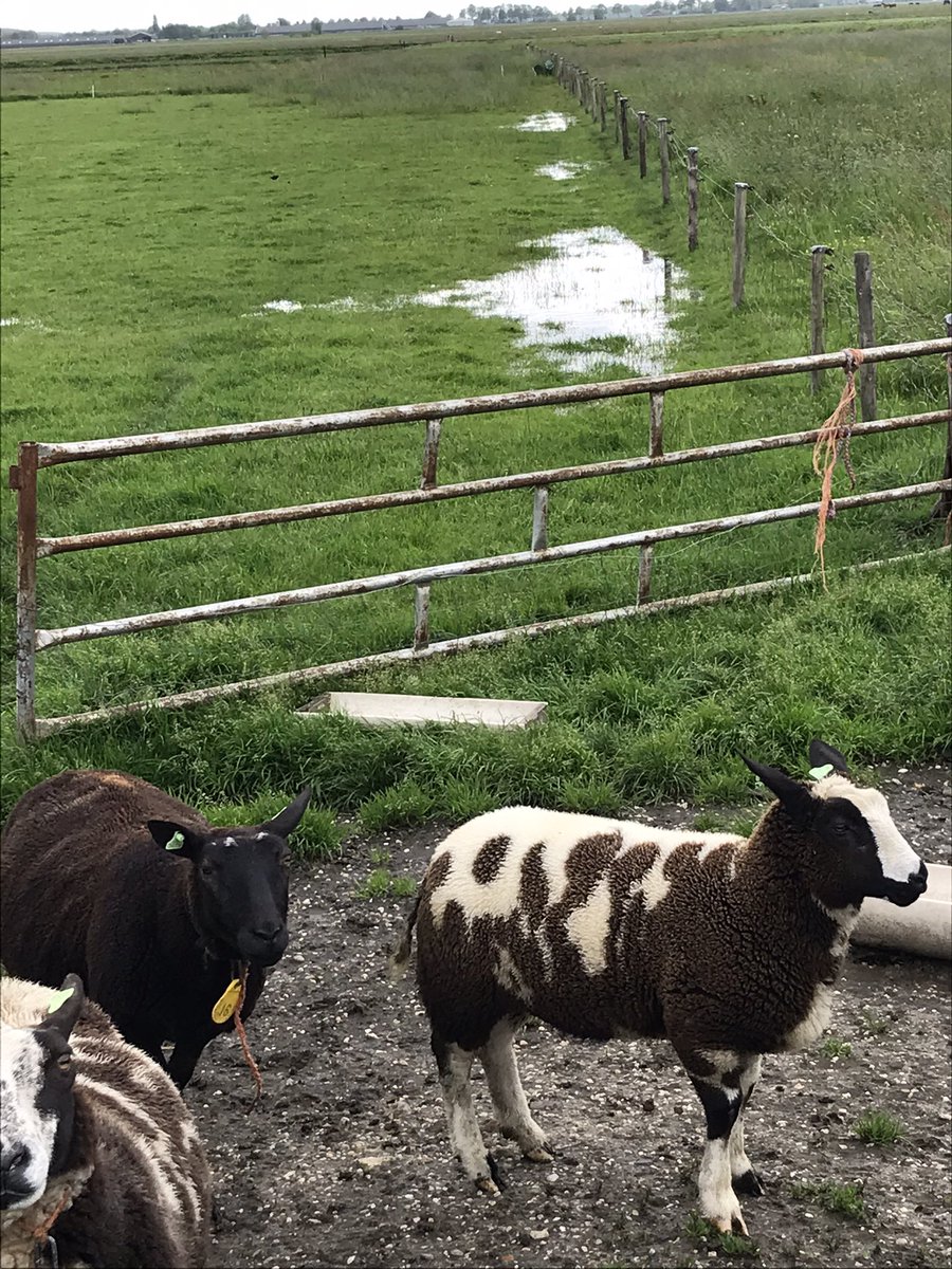 Ben best wel klaar met najaar 2021....