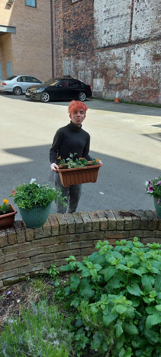 EvaDarcy3's tweet photo. Lovely afternoon plant shopping and gardening! @KevRegenda @petebond7 @NettyRegenda https://t.co/rU9Q3Bo7N4