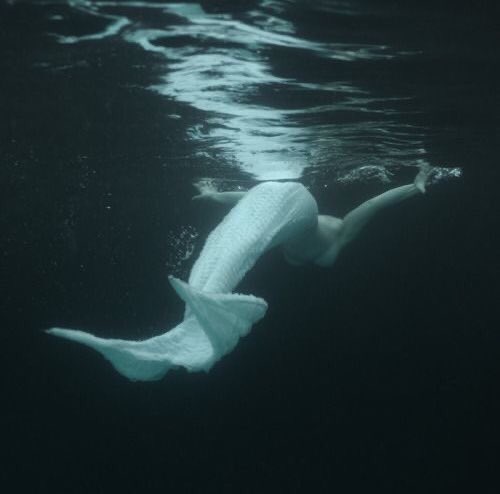 shelldowx's tweet image. ⠀⠀­
⠀   ⠀༺ · ───┈
⠀⠀­
  𝐌eu nome é 𝐌erlia 𝐅ischis e sou uma sereia. 𝐃ecidi viver em meio aos humanos para alertar sobre os riscos que meu povo sofre. 
⠀⠀­
  𝐏or meio dessa conta, vou estar informando sobre a fauna marinha e contando sobre mim. 𝐄spero que gostem.