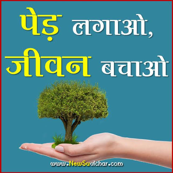 vriksham foundation ( वृक्षम् फाउंडेशन) TAF tweet media