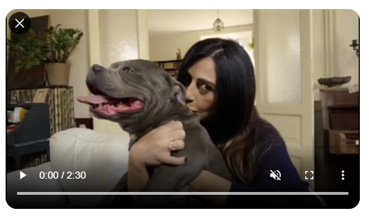 lndc_italia's tweet photo. Il servizio di @canaledieci riguardo la campagna LNDC #nellemanigiuste con #RaffaellaMennoia.
L'intervista a @ebignami della LNDC #Ostia su presenza #molossi e #pitbull nei #canili e su pregiudizi di cui, purtroppo, questi cani sono spesso vittime https://t.co/0VOEIahQLm https://t.co/fNH2sAWZ0e