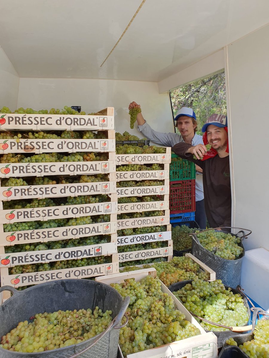 Cyclic Beer Farm tweet media