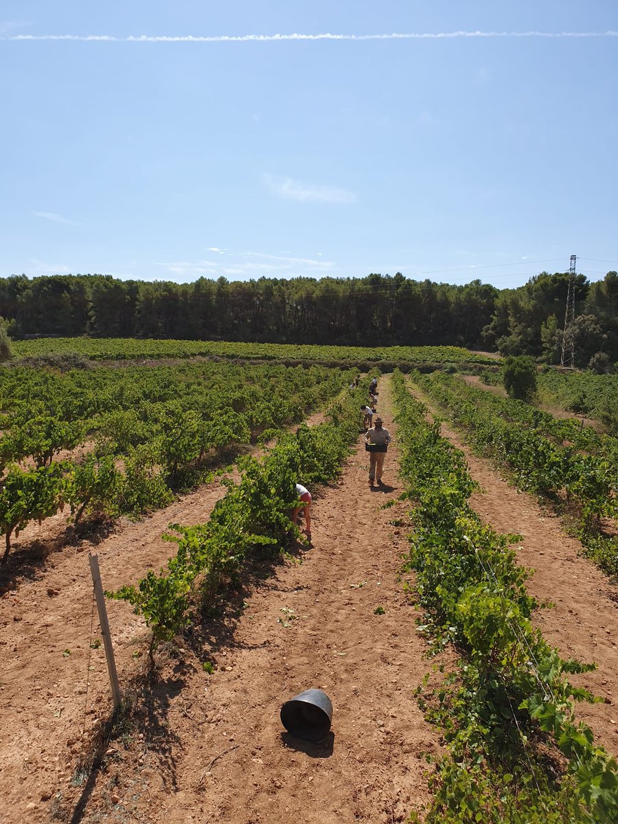 Cyclic Beer Farm tweet media