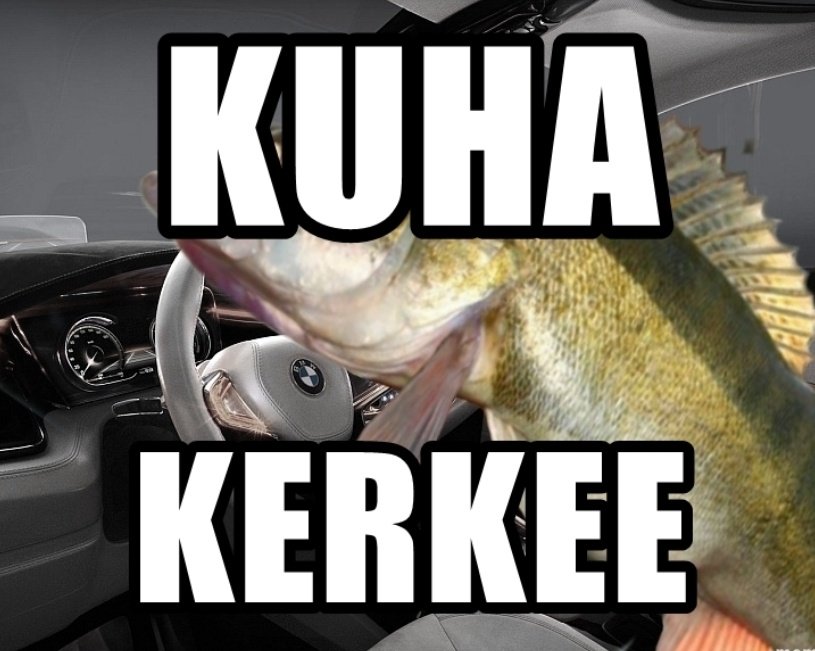 E2ZCSAQXwAEKq5j.jpg