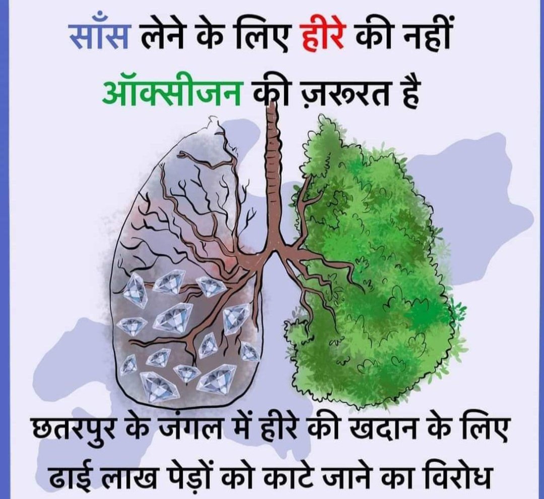 vriksham foundation ( वृक्षम् फाउंडेशन) TAF tweet media