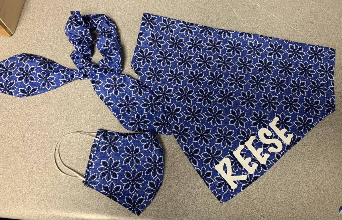 noelsdebruyn's tweet photo. Excited to share the latest addition to my #etsy shop: Matching dog collar bandanna , mask and scrunchie set https://t.co/ynwZJCTShQ #mask #dogbandanna #squishydesignsstudio https://t.co/WyTQ2k6K1z