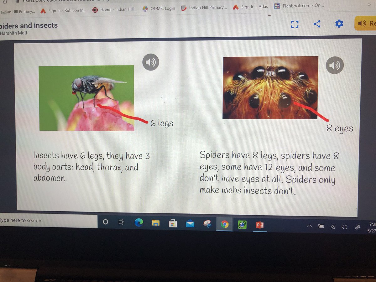 IHPSRuebusch's tweet image. The 2nd graders in 2R are experts on many topics!  Choosing the text structure they felt was best for their topic and being able to create on @BookCreatorApp was powerful for these young authors!  @IHPrimary #IHPromise #IHBVA