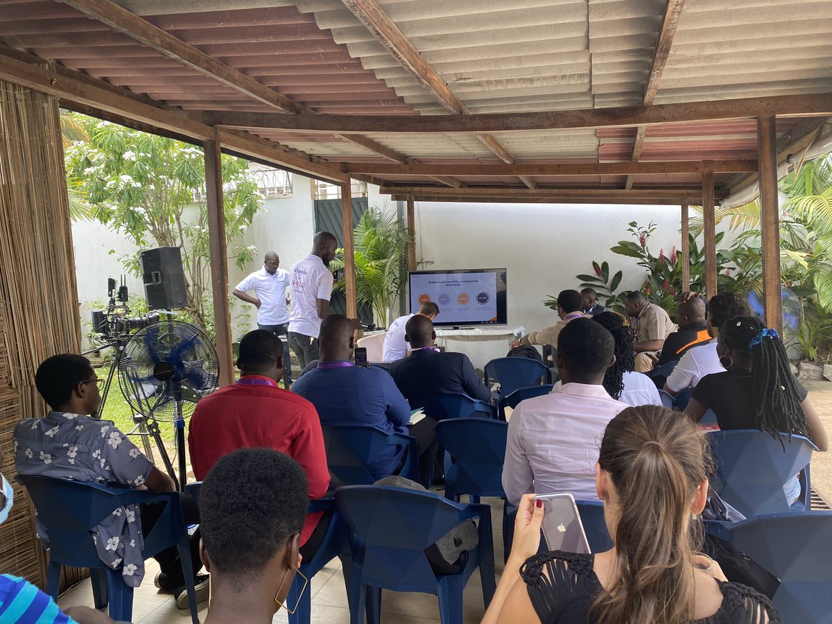 Swan Factory tweet media