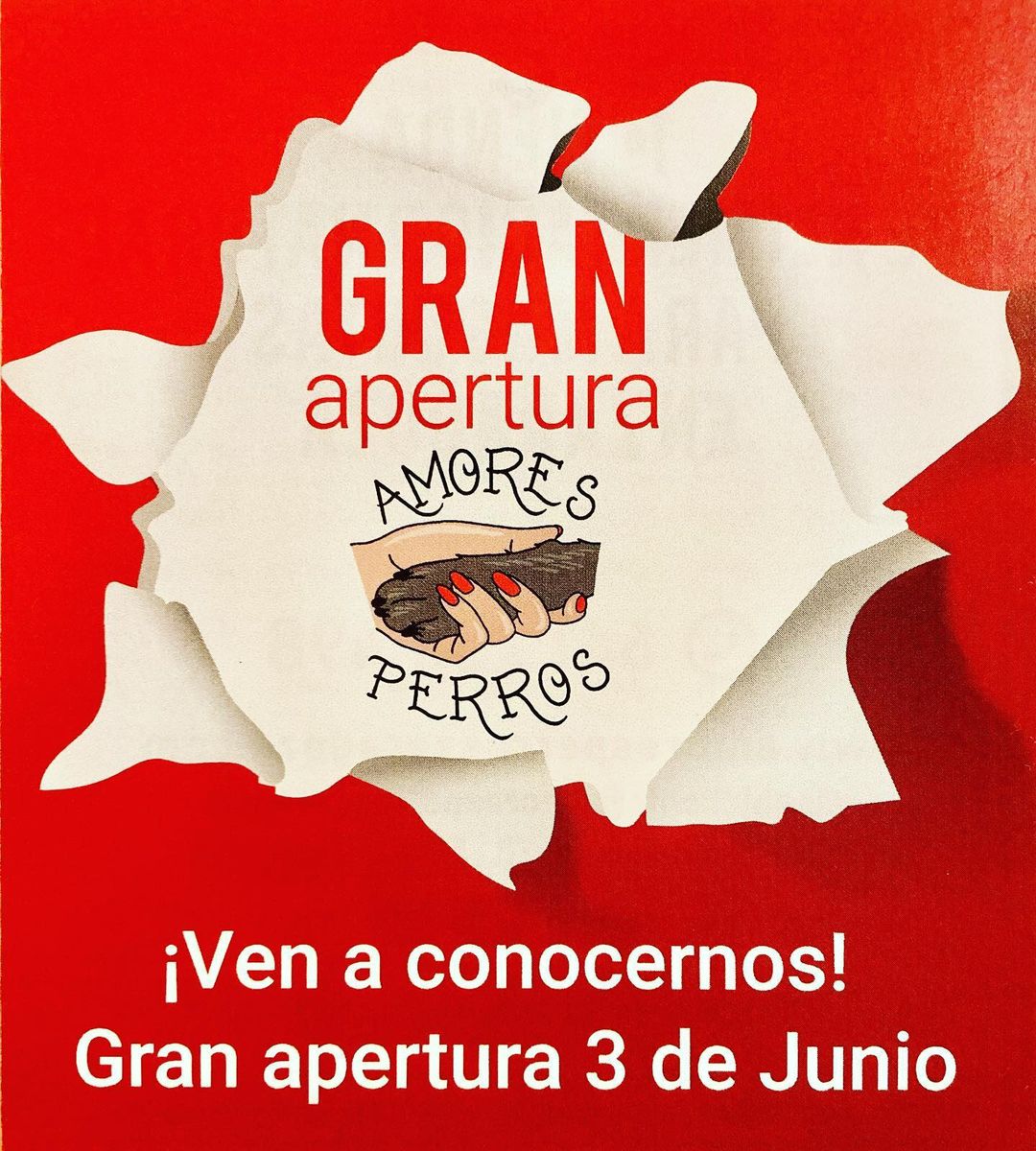 AmoresPerrosZ's tweet photo. Ya está aquí!!!! 
¡¡¡ El día 3 de junio ABRIMOS!!! 
Dale ♡ , RT y síguenos para poder disfrutar de un 10% de descuento
Habrá un montón de sorpresas!
¡NO FALTES!
#graninaguracion #alimentacionnatural #alimentacionnaturalparaperros
#alimentacionnaturalparagatos https://t.co/GJ5tcieLPU