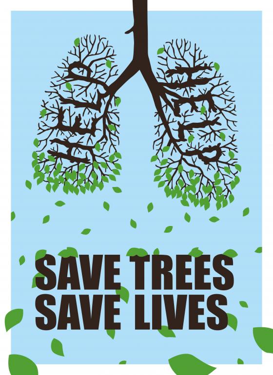 vriksham foundation ( वृक्षम् फाउंडेशन) TAF tweet media