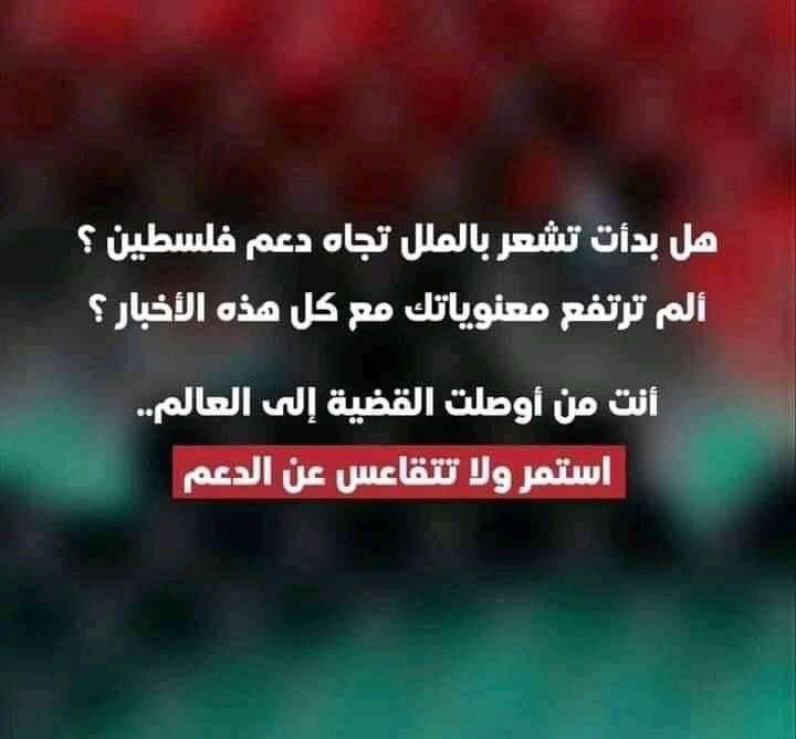 Daniasthoughts's tweet photo. #انقذوا_حي_الشيخ_جراح #انقذوا_سلوان https://t.co/QSJlj3Foj6