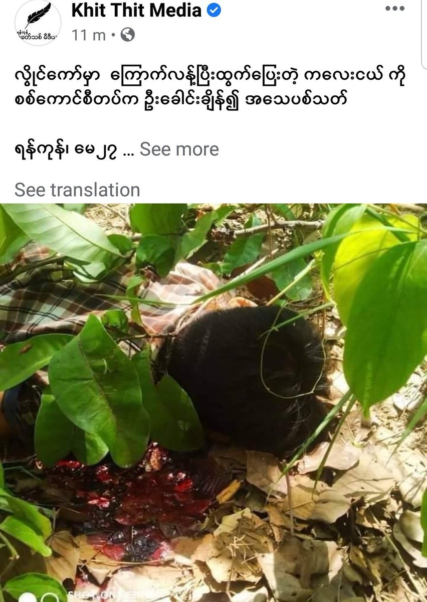 MayWongST's tweet photo. Another minor, a 14-year-old boy shot &amp; killed allegedly by #Myanmar #military security forces in #Kayah state #Loikaw where intense fighting been ongoing in recent days/weeks. Civilian @NUGMyanmar recently said at least 73 children have died since #coup #WhatsHappeningInMyanmar https://t.co/p7kfH5tVYi