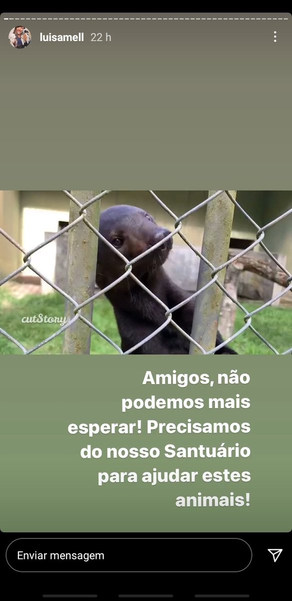 myvetgram's tweet photo. @arcticritics Fez uns stories durante uma visita ao Zoológico de Aracaju e postou coisas desse tipo aqui: https://t.co/BrbIT7bDDS