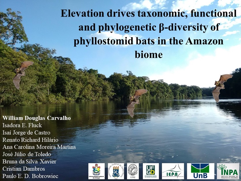 William Mustin Carvalho tweet media