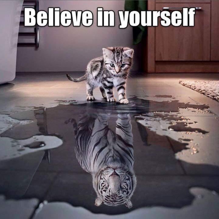 Chris Foster (@coachc_foster) on Twitter photo 