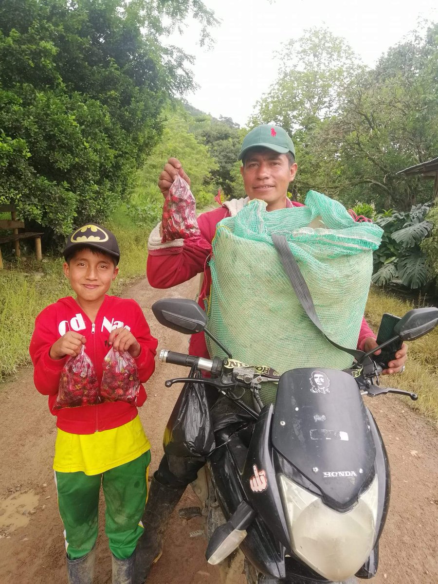 diegoandres_g's tweet photo. El señor Oliver Lopez y su hijo, está vendiendo Mora a 1500 la bolsa, fresca y cultivada con sus propias manos. Si hay alguien en #Huila que desee apoyarlos, por favor puede comunicarse al teléfono 3224228276 🙏🇨🇴✊ ¡Apoyemos los campesinos! #ParoNacional27M https://t.co/w2PLJ44UsD