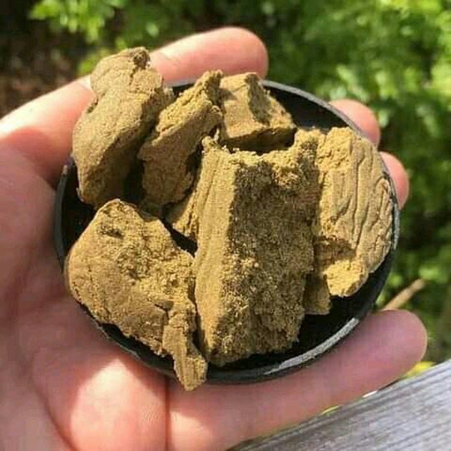 WeedMaco's tweet photo. Passe ta commande pure THC 🇨🇵👇
snaptchat👻:  https://t.co/F6wF9KWTU8
#100Daysofcode #PSG #rastabot
#venteom #manifestation #bordeaux #generationdentitaire #paris #suisse #92i #Brest #poitiers #proverbe #deliveryguy #weed #cannabiscommunity https://t.co/V8jMhwU7BX