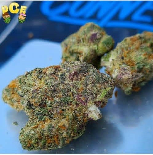 WeedMaco's tweet photo. Passe ta commande pure THC 🇨🇵👇
snaptchat👻:  https://t.co/F6wF9KWTU8
#100Daysofcode #PSG #rastabot
#venteom #manifestation #bordeaux #generationdentitaire #paris #suisse #92i #Brest #poitiers #proverbe #deliveryguy #weed #cannabiscommunity https://t.co/z9MEtwj6G6