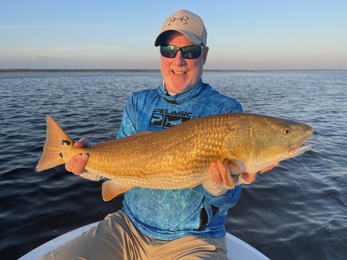 Two spotter from Keaton Beach.  I’m back.  Priorities were out of order!