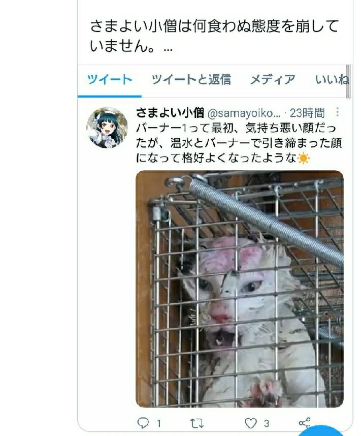ふあり On Twitter Kushidaof 5ちゃんねるの生き物苦手板は黒ムツの温床になっています 猫の虐待も激しくなっています 写真や会話をみるだけでも怖く辛い内容です なんとか閉鎖に追い込みお願いします あとツィッターでも猫の虐待投稿ありました なんとかなりませ