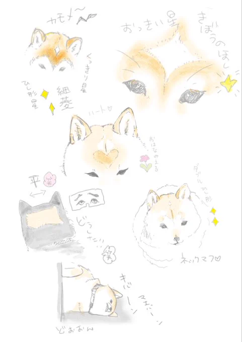 リプ頂いたわんさまたち、描いてしまいました💕似てないのはお許し下さい…🌟沢山住んでるなぁ〜😆 