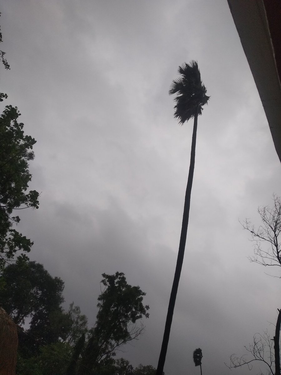 Shivam_priyansh's tweet photo. #YaasCyclone #YaasUpdate
#CycloneYaas
Today's evening 👀 https://t.co/ZbnMo8MZMe