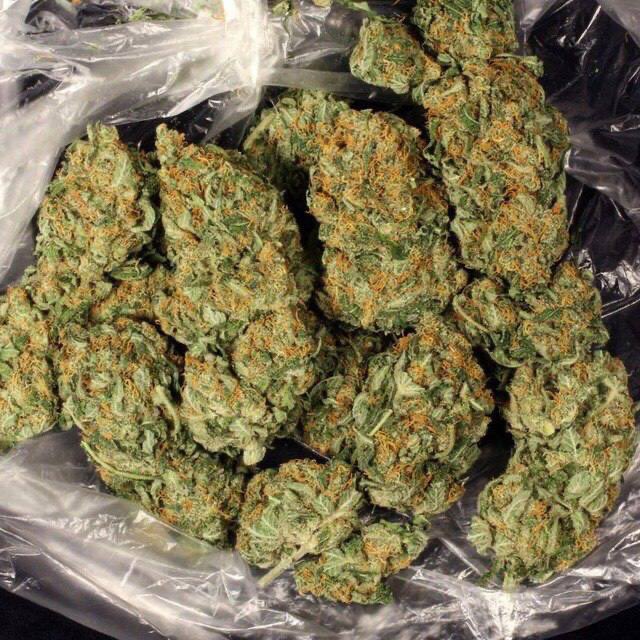 WeedMaco's tweet photo. livraison directe et rapide 🇫🇷🍁
Snapchat : https://t.co/F6wF9KWTU8
#LegalizeIt #StopProhibation #FranceVerte #France #BernieSanders #PSG #Élysée #Toulouse #javascript #Bordeaux #Québec  #champagne #Yuriy #Nantes #Monaco #proverbe https://t.co/AMHQiubgSb