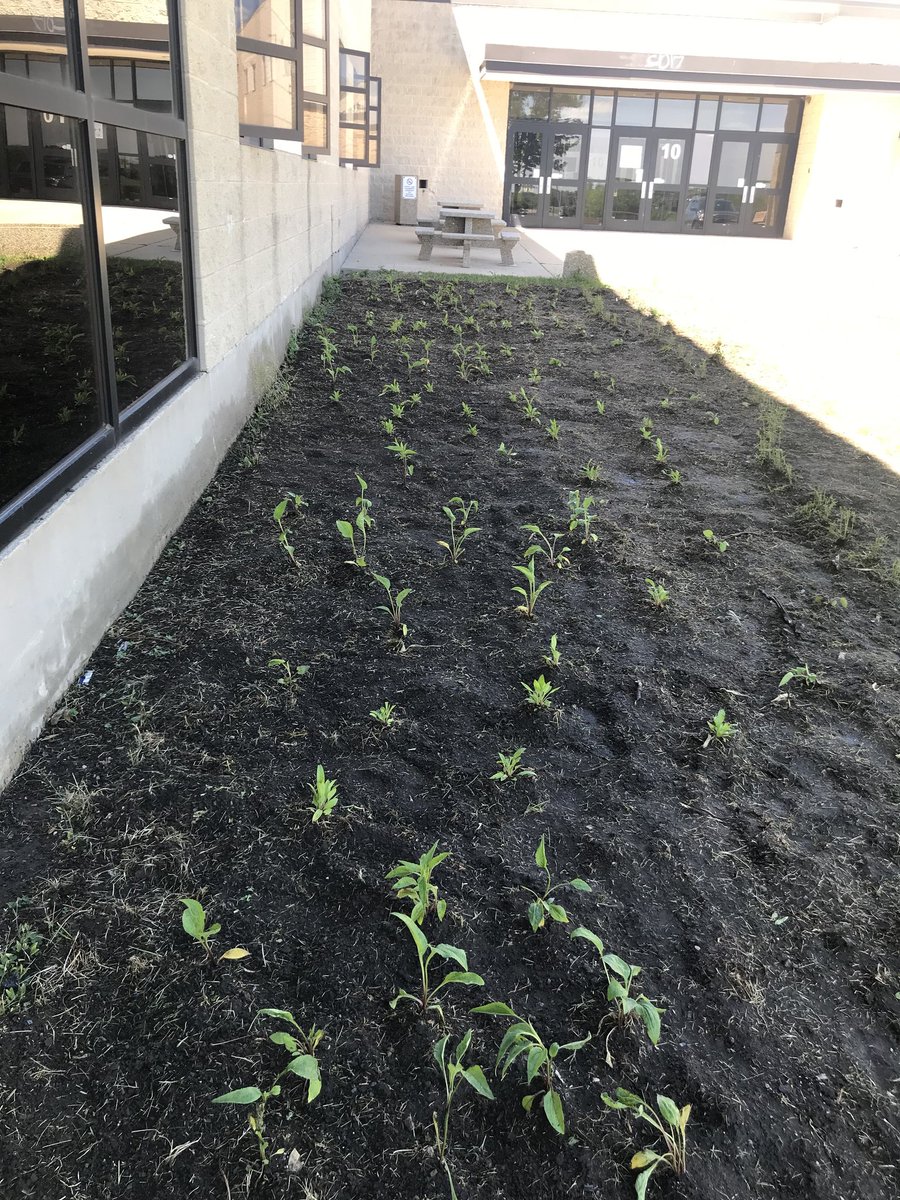 Rockets Student Services Dept tweet media