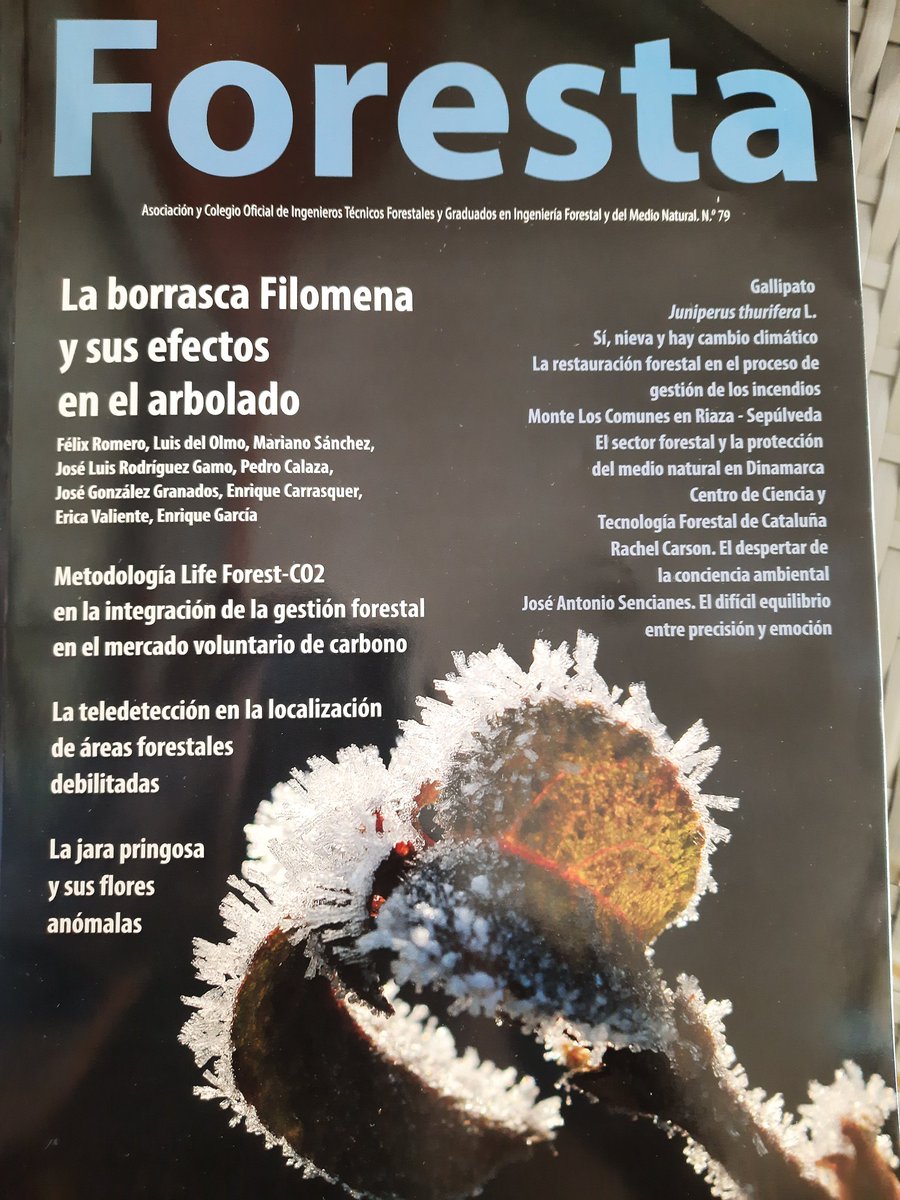 rodriguezgamojl's tweet photo. muchas gracias a la @RevForesta de @IngForestal50 por invitarme a participar dando mi punto de vista sobre los efectos de la #BorrascaFilomena en el arbolado de @MADRID y la necesidad de planificar técnicamente las futuras actuaciones https://t.co/a0pUgTxwfk