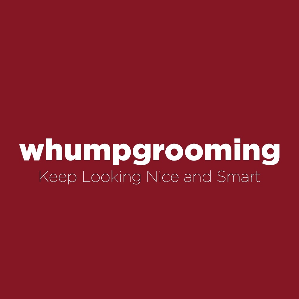 WhumpIndia's tweet photo. Watch|create|share your #Grooming videos and earn #whumpcoins by participating in different contests, uploading videos, #referring the app to friends and family.
India's best social #shortvideoapp which allows users to showcase their skills in short video snippet.
#MadeInIndia https://t.co/v1MW7AP7MD