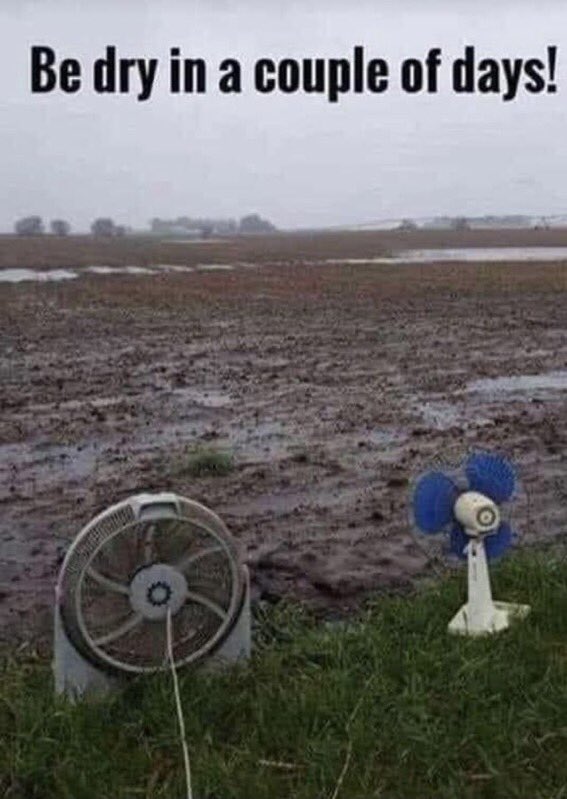 camp_cowboy's tweet photo. Texas is not letting up on the rain 😭😭😭 we got things to do! https://t.co/OoJKrIIkck