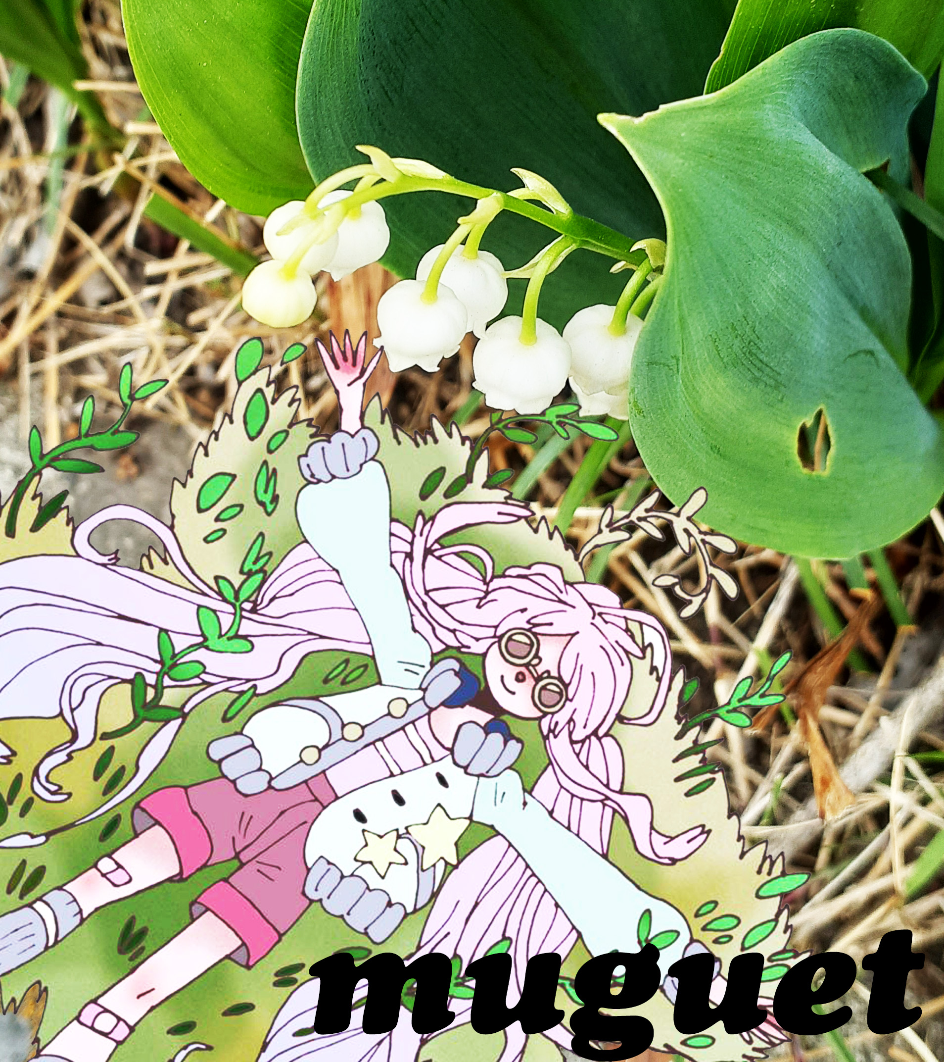 今日の誕生花 Twitter Search Twitter