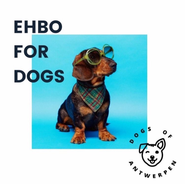 dogsofantwerpen's tweet image. By the way, we’re hosting the furriest podcast on the internet. 🐶🤓 Listen via @Spotify and @SoundCloud via linktr.ee/dogsofantwerpen! ✌️Oh and it’s Sir Jerom on the cover. Yes, that’s really his name. 😎 instagram.com/p/CNKKhlLnHQO/…

#dogpodcast #podcast #podcastaboutdogs