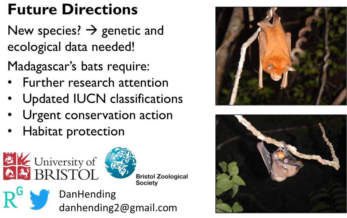 DanHending's tweet image. 5/5) #WBTC2 #Tech1. Our study highlights:
-Bioacoustics is effective for discrimination of CF 🦇
-🇲🇬🦇ecology is still little-known
-Forest habitat conservation is crucial for 🇲🇬🦇 survival
Be sure to check out our full results in the upcoming volume of #ActaChiropterologica