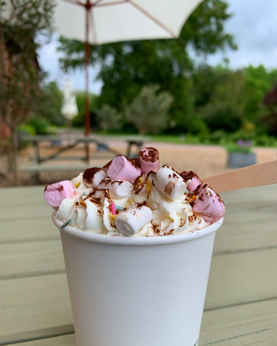 cavickhousefarm's tweet photo. H o t C h o c o l a t e ?
We might as well make the most of our extended hot chocolate season until the sun comes out. Who’s with me?
#hotchocolate #witheverything #cavickhousefarm #warmup #cheerup #farmcafe #mayweather #wymondham #marshmallows #sprinkles #cream https://t.co/Fy8sYaDX5C