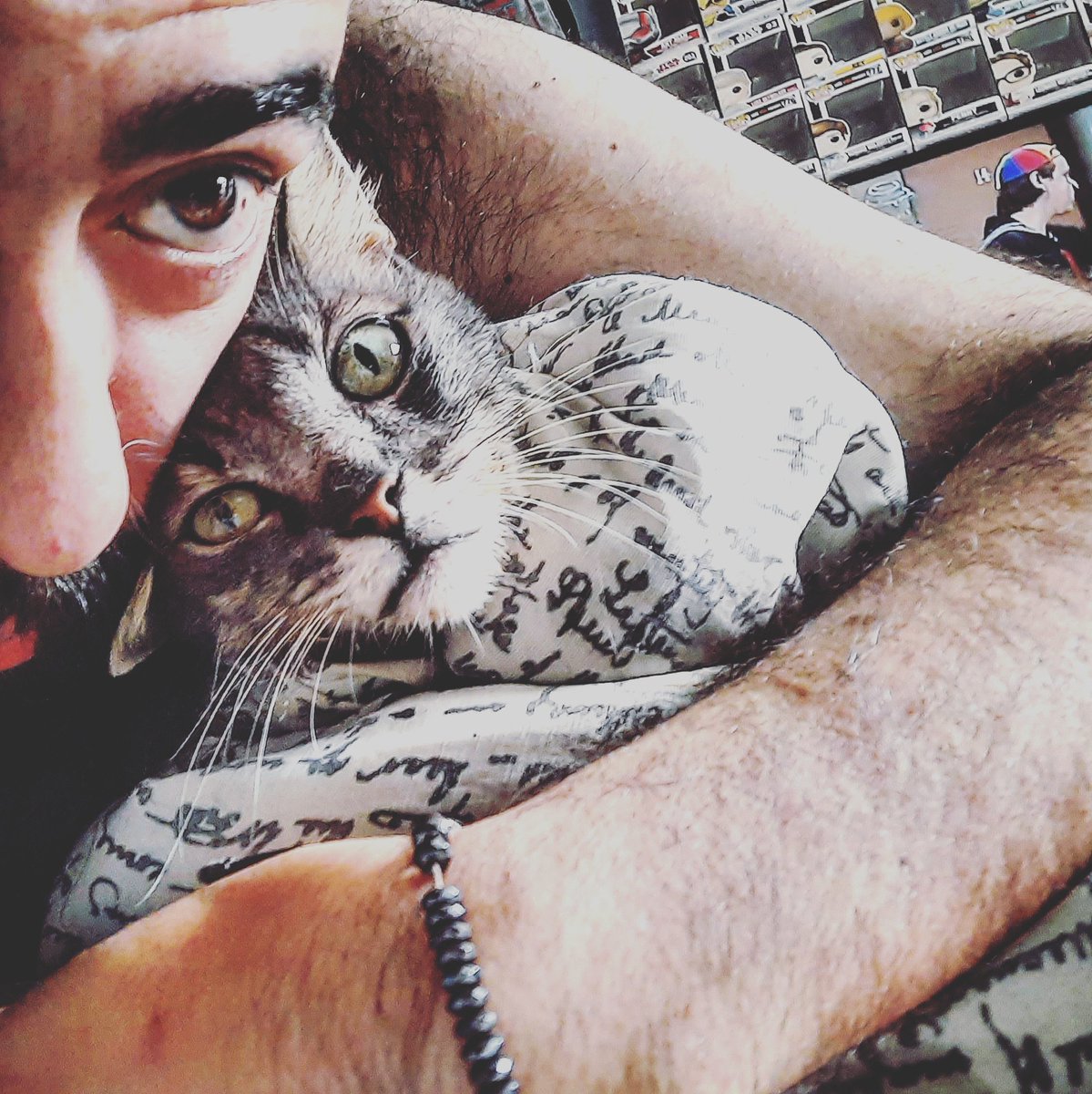 bruno_fucci's tweet photo. Todos os dias ao menos 5 vzs ao dia ele precisa ser enrolado numa toalha ou no edredon pra poder tomar por volta de 10 medicações diferentes. E mesmo sendo a reação instintiva dos felinos recusar medicação, ainda assim, ele é um príncipe. Luta nossa de tdos os dias!!
#Sayd 🥰🙏❤ https://t.co/5mC1bvAtLY