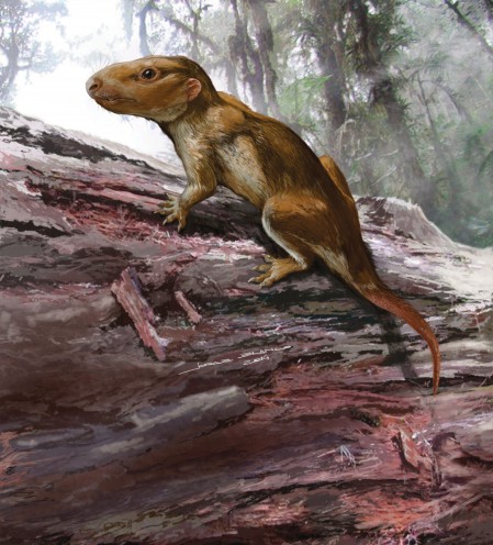 Extinct_AnimaIs's tweet image. Botucaraitherium belarminoi was a carnivorous cynodont about the size of a rat.

(Credit Jorge Blanco)