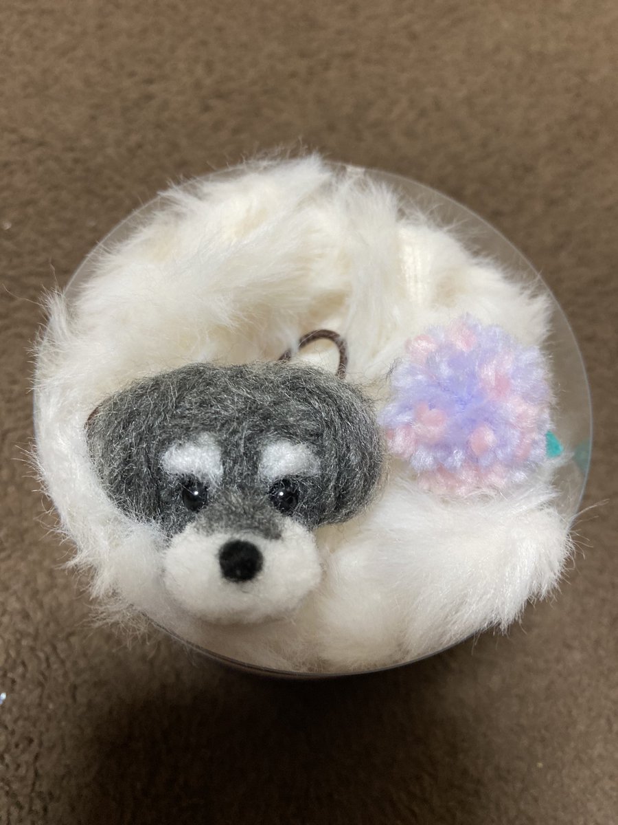 rkXdd85YKLcx8kr's tweet photo. 今日@araco_pompom さんからシュナちゃんの可愛いヘアゴムが届きました♡紫陽花も可愛い♡何となくムムに似ていて宝物が増えました🥰💕梱包もお手紙も気持ちがこもっていて感動しました🐶💕大切にします🤗💓💓💓 https://t.co/fUMDV4vu3j